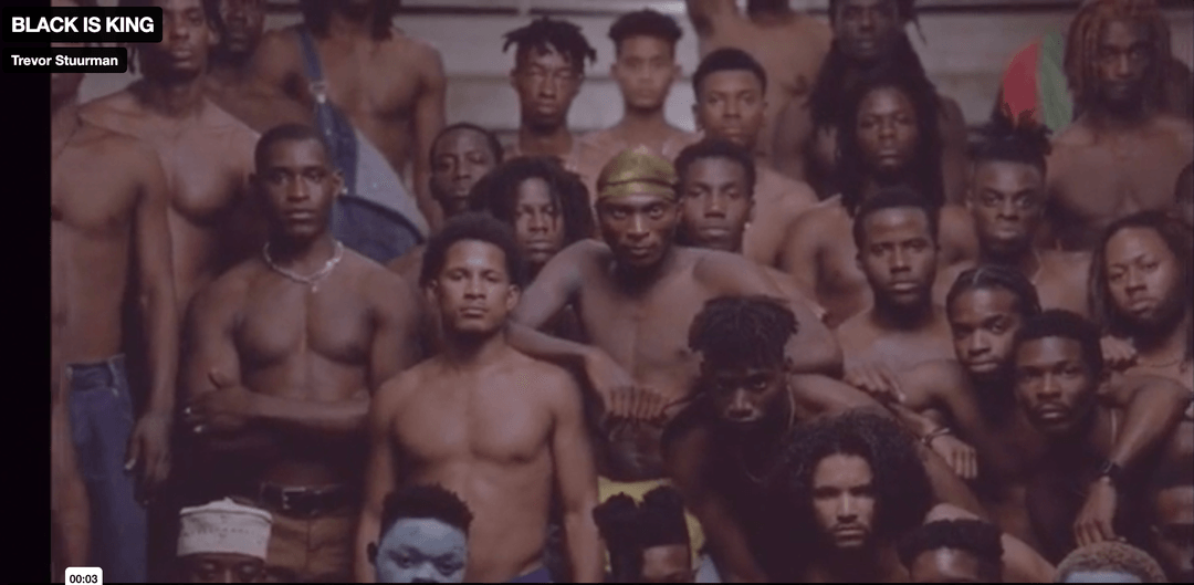 Bodies